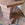 Burton side table made of oak by Bunny Williams Home