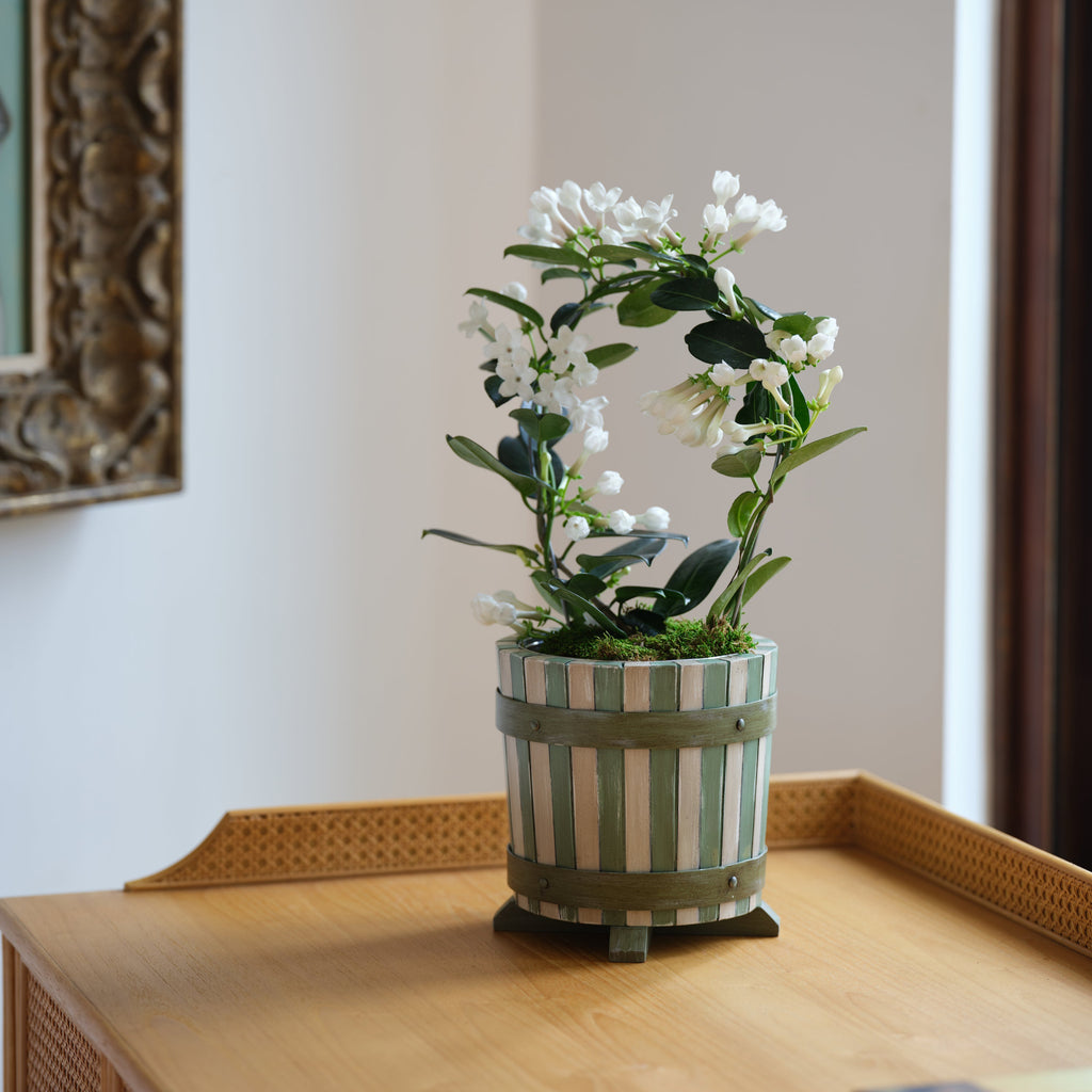 hand-painted stripe cachepot