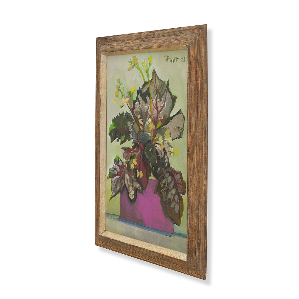 begonia by john funt, 2023 (33" x 23")