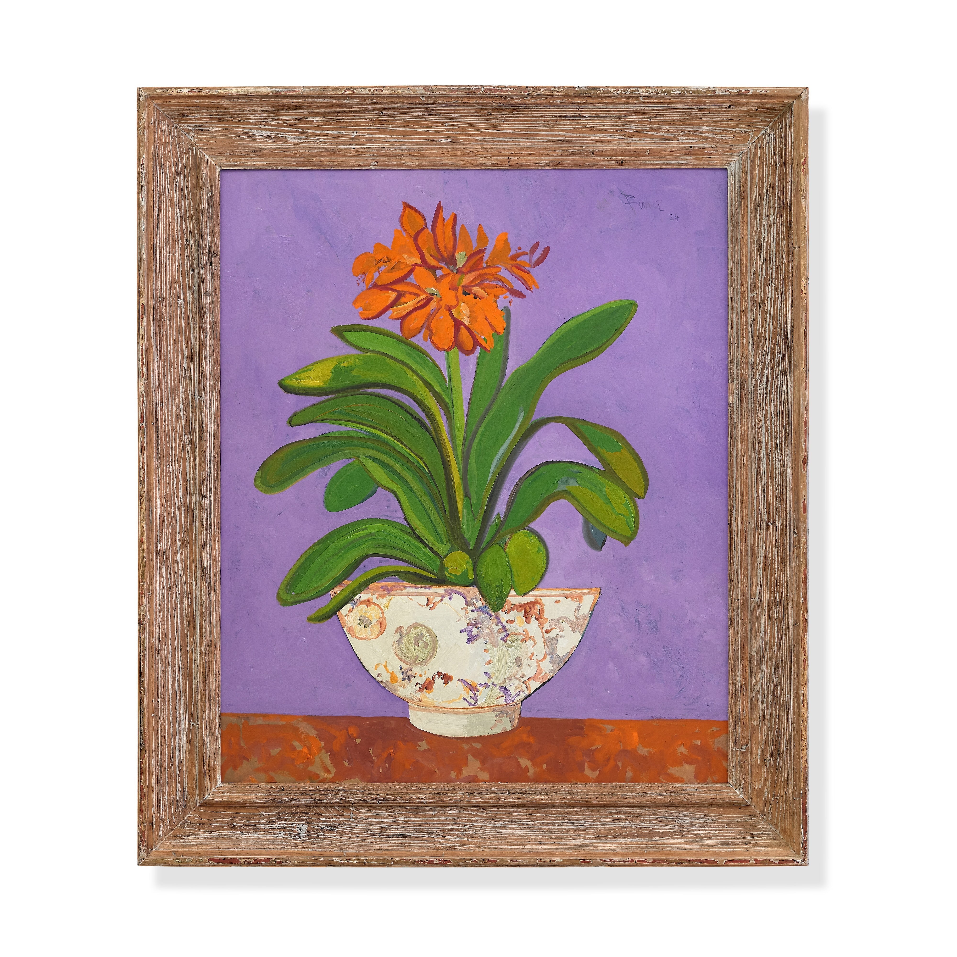 Clivia by John Funt, 2024 (37