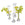 Lily Vases (Set of Five)