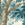 Closeup of Woodland Paper (Aqua) wallpaper