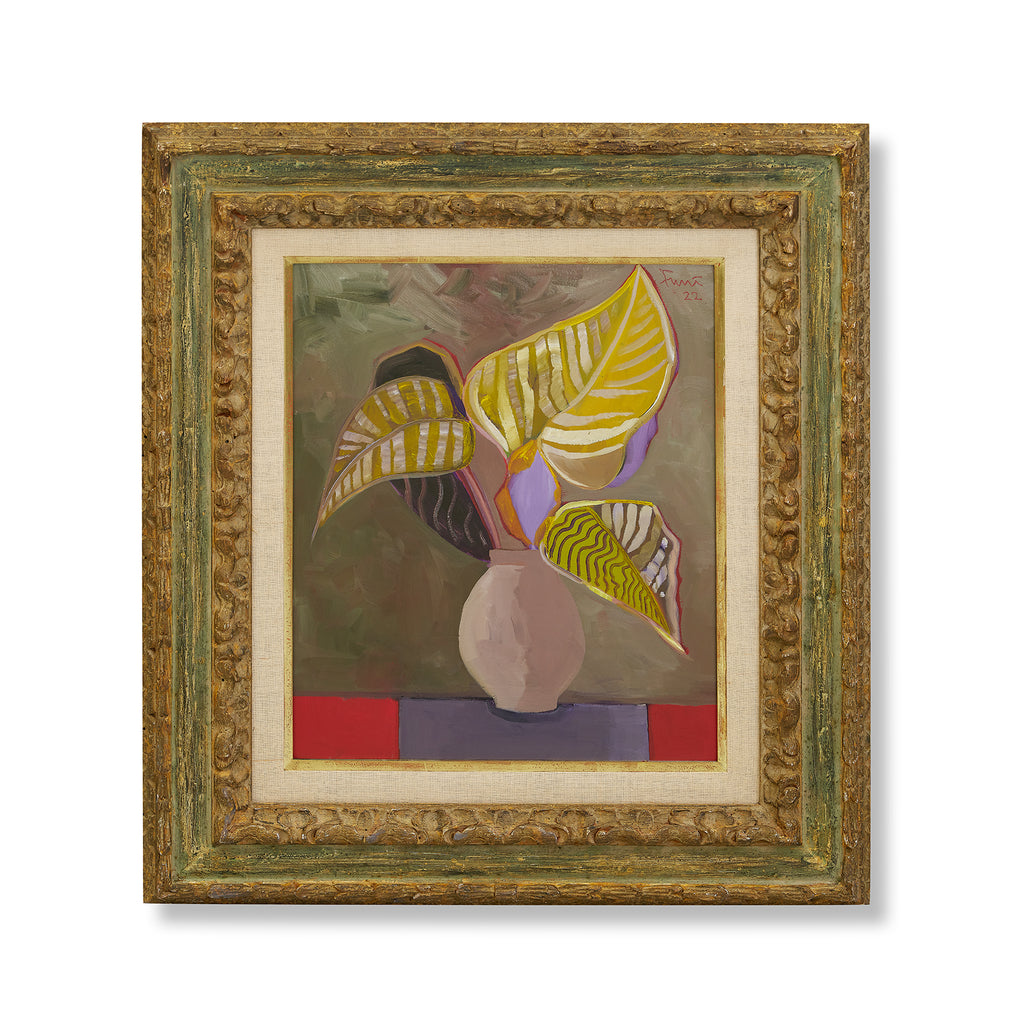 hosta on a red and blue cloth by john funt, 2022 (31" x 27.5")