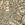 Jennings Print Fabric (Green)