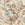 Greenfield Print Fabric (Spring)
