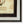 Early 20th Century Framed Herbarium Specimen (D)