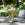 Decorative gold pedestal table with a stone top in a garden setting