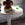 Magnolia Leaf Side Table by Bunny Williams Home