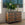 Friedrich Hand-Painted Chest