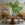 Haven Dining Table - Maple Cerused Oak (60")