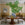 Olive Tape Stool