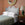 Williams Bed