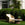 Crofter's Outdoor Lounge Chair