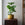 Gold Scalloped Edge Cachepot by Matin Malikzada for Bunny Williams Home