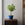 Turquoise and bliue wide mouth ruffle vase by Matin Malikzada for Bunny Williams Home