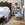 Williams Bed