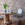 Haven Dining Table (60")