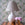 Pearl Lamp