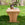 Georgian Bench by Bunny Williams Home