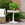 Magnolia Leaf Side Table by Bunny Williams Home