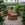 Kinley Armchair