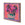 Fuchsia in an Inkwell by John Funt, 2024 (20" x 27")