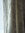 Hayes Embroidery Fabric (Celery)