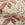 Putnam Paper (Brick/Green)