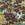 Woodland Paper (Multi)