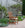 Lewis Outdoor Armchair with Cushion