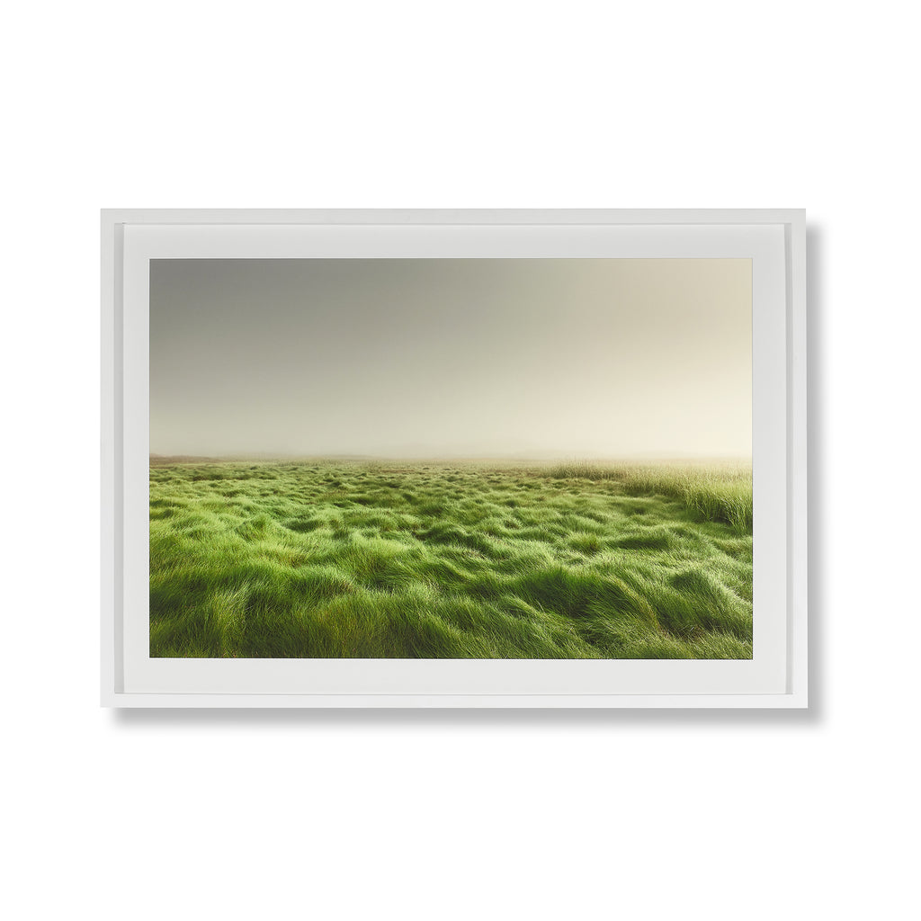 moors grass by bill tansey, limited edition photograph (35" x 25")
